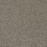 Abingdon Stainfree Twist - Velvet Crush Carpet