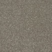 StainFree Twist Carpet