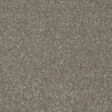 StainFree Twist Carpet