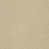 StainFree Twist Carpet