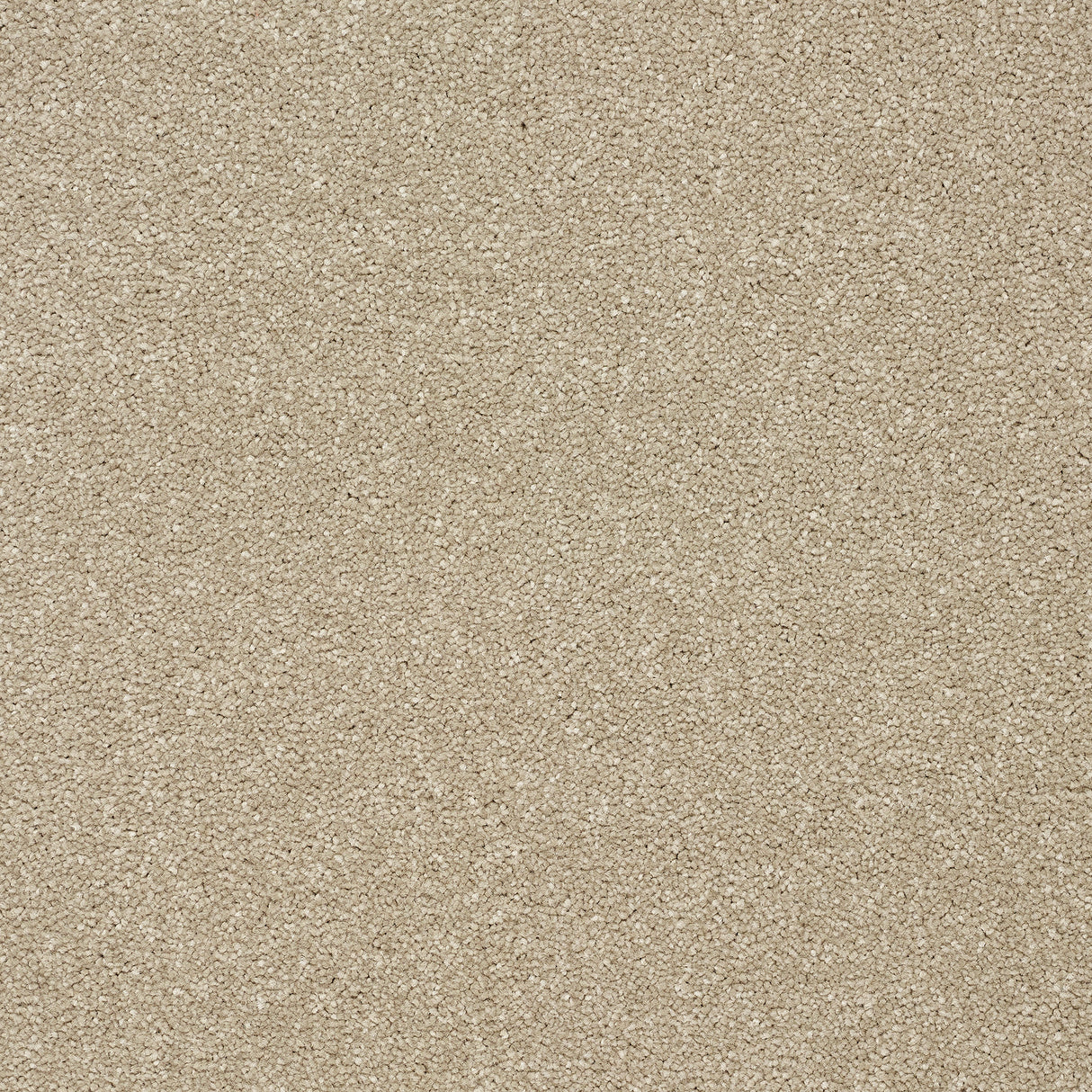 Abingdon Stainfree Twist - Dark Ecru Carpet