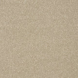 Abingdon Stainfree Twist - Dark Ecru Carpet