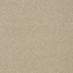 StainFree Twist Carpet