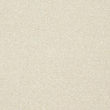 StainFree Twist Carpet