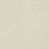 Abingdon Stainfree Twist - Stone White Carpet