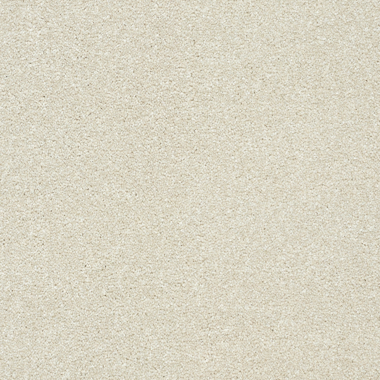 StainFree Twist Carpet