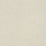 StainFree Twist Carpet