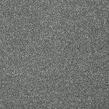 StainFree Twist Carpet