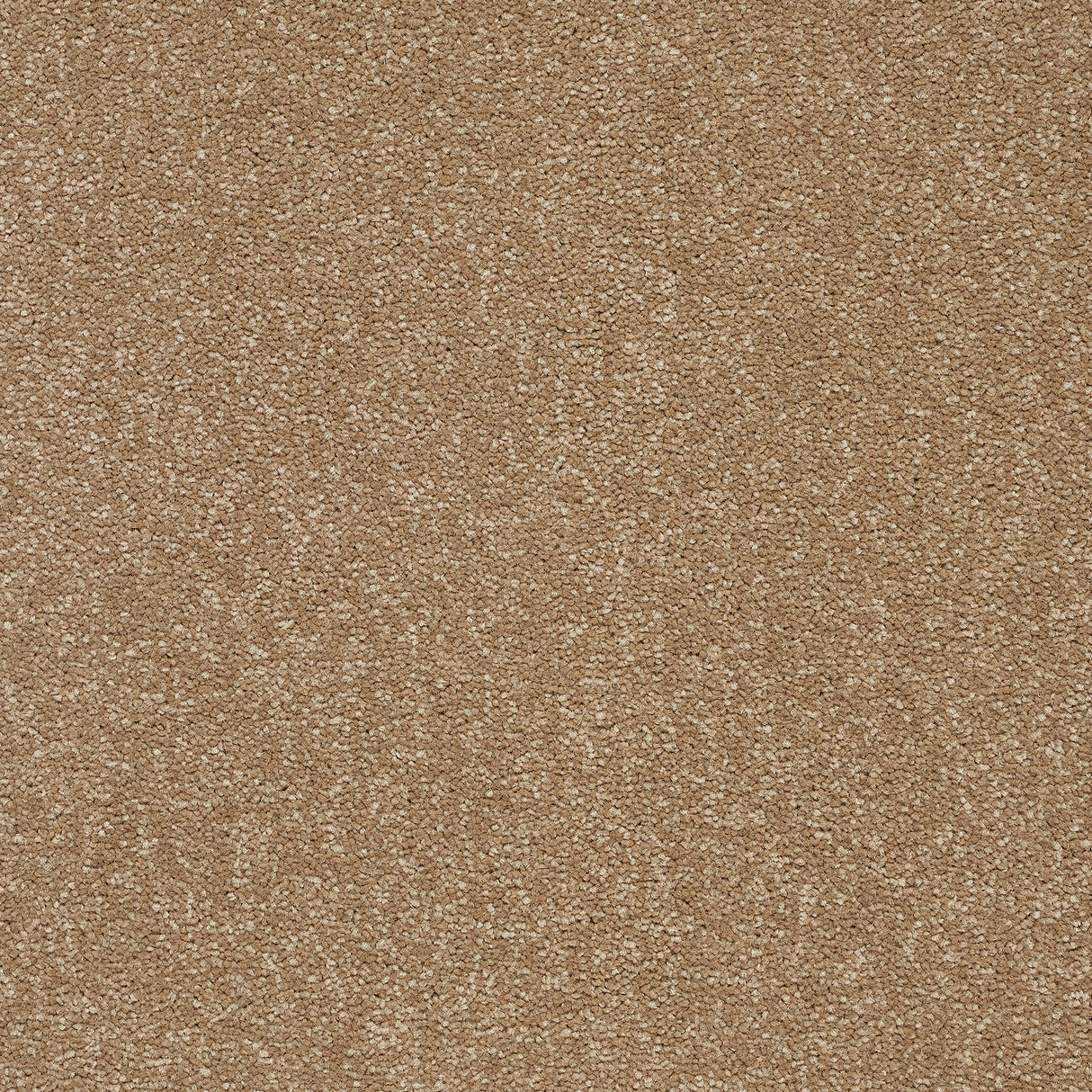 Abingdon Stainfree Twist - Mocha Carpet