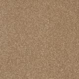 Abingdon Stainfree Twist - Mocha Carpet