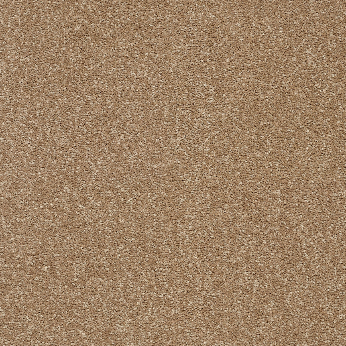 StainFree Twist Carpet