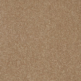 StainFree Twist Carpet