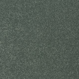 StainFree Twist Carpet