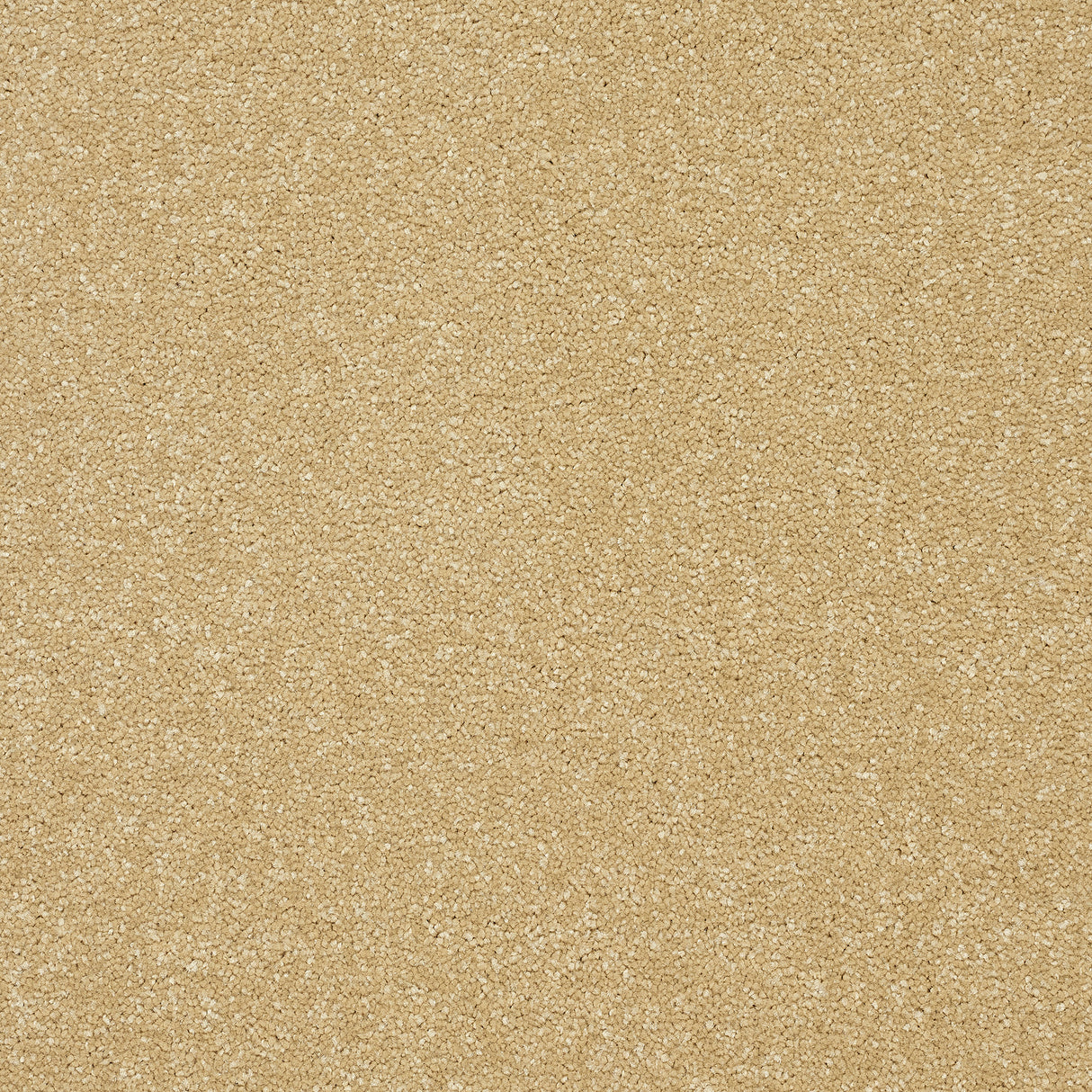 Abingdon Stainfree Twist - Honey Gold Carpet