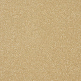 Abingdon Stainfree Twist - Honey Gold Carpet