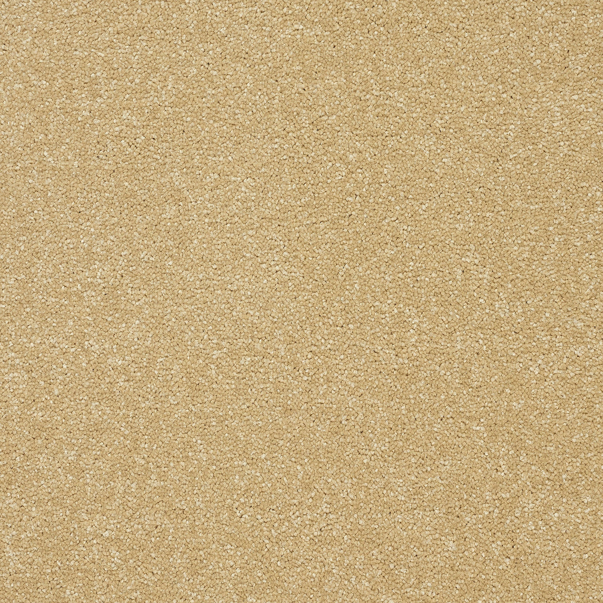 StainFree Twist Carpet