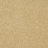 StainFree Twist Carpet