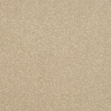 Abingdon Stainfree Ultra - Manor House Carpet