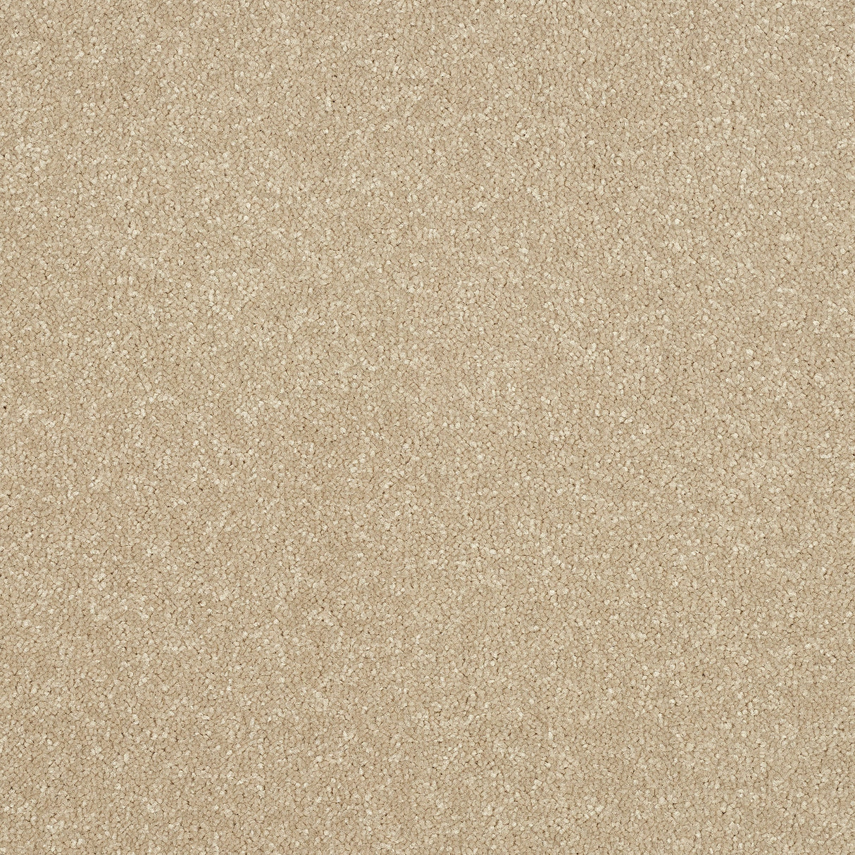 StainFree Ultra Carpet