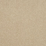 StainFree Ultra Carpet