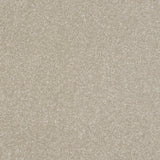 StainFree Ultra Carpet