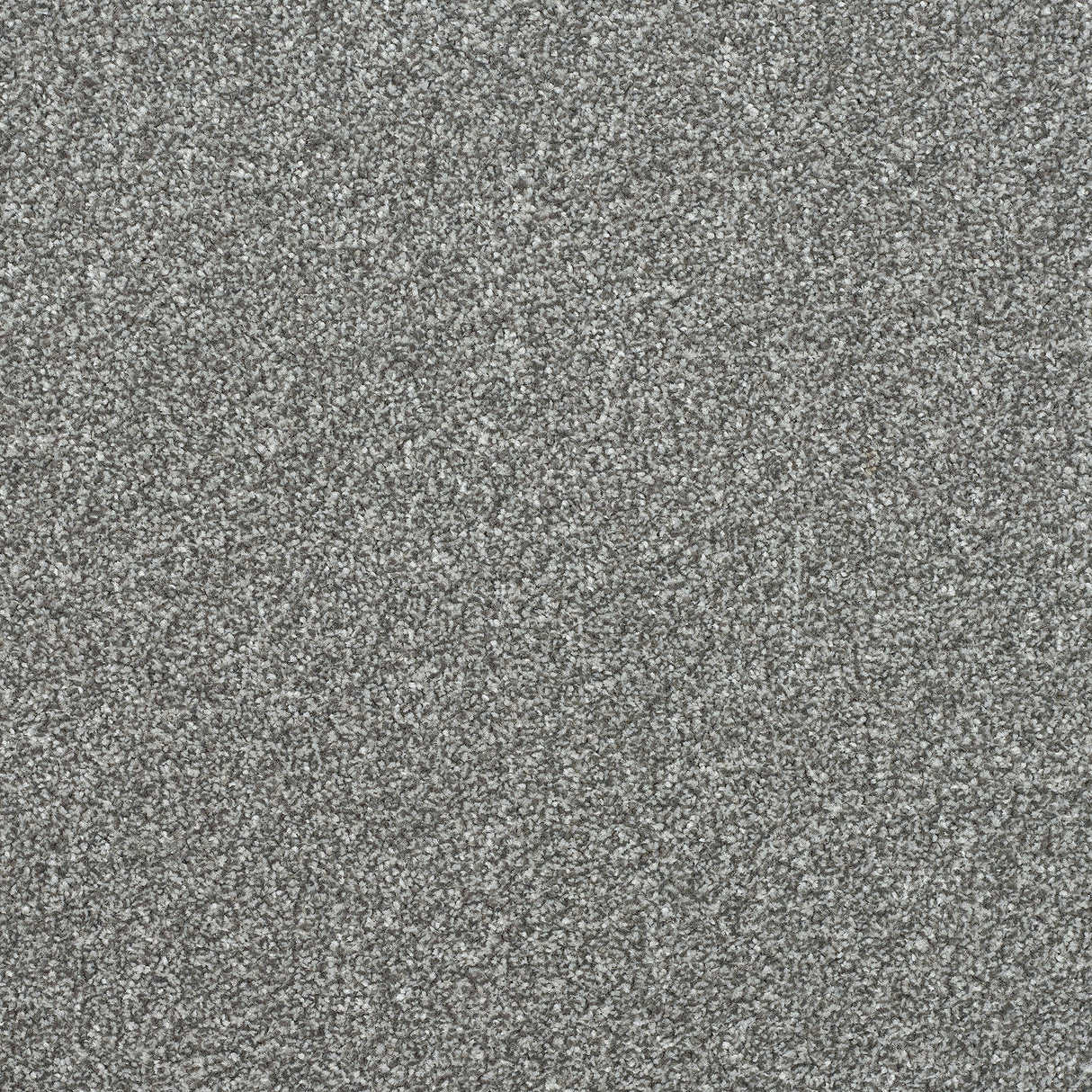 Abingdon Stainfree Ultra - French Grey Carpet