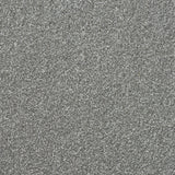 Abingdon Stainfree Ultra - French Grey Carpet