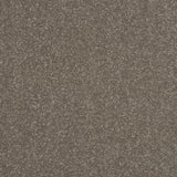Abingdon Stainfree Ultra - Dolomite Carpet