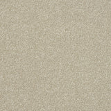 StainFree Ultra Carpet