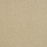 StainFree Ultra Carpet