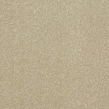 StainFree Ultra Carpet