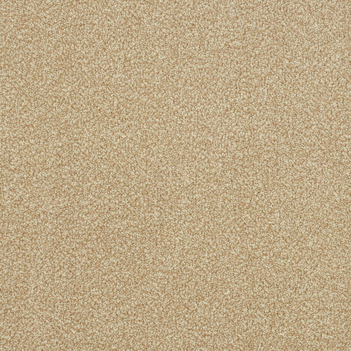 StainFree Ultra Carpet