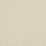 StainFree Ultra Carpet