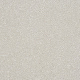 StainFree Ultra Carpet