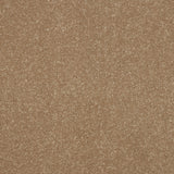 Abingdon Stainfree Ultra - Cocoa Cream Carpet