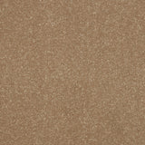 StainFree Ultra Carpet