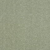 StainFree Ultra Carpet