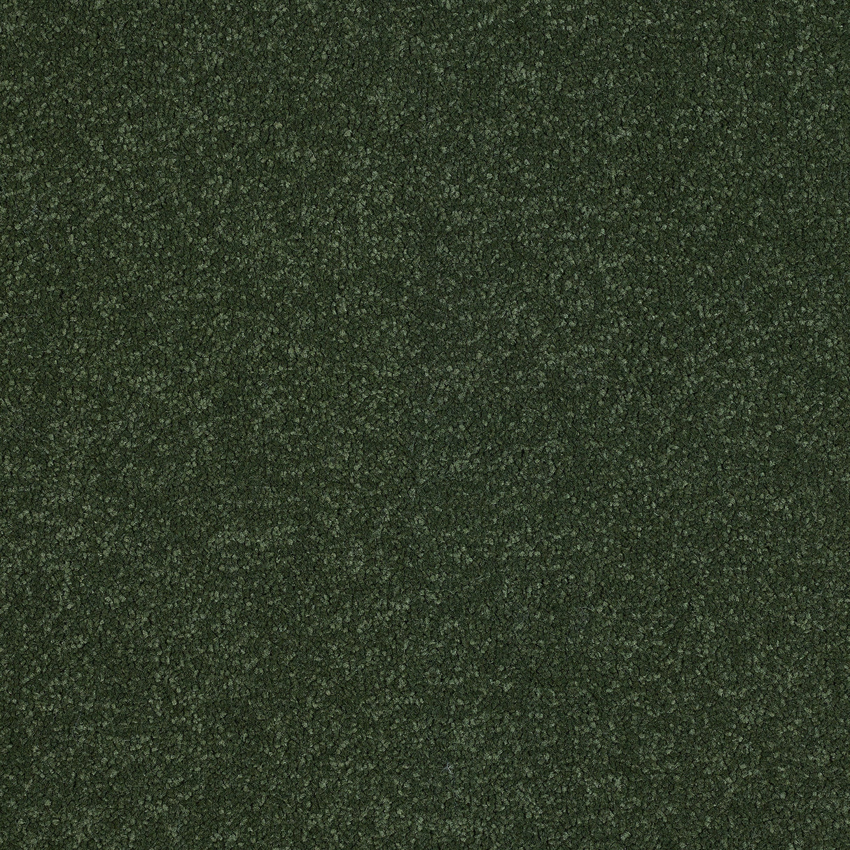 StainFree Ultra Carpet