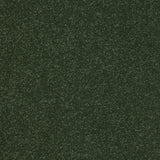 StainFree Ultra Carpet