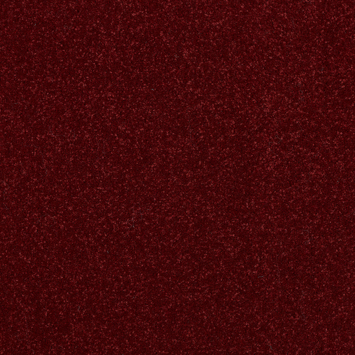 Abington Ruby Carpet 