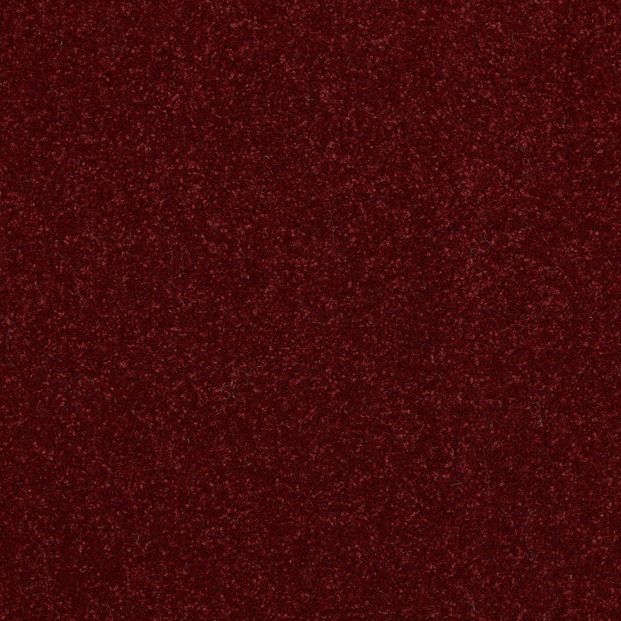 StainFree Ultra Carpet