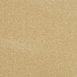 StainFree Ultra Carpet