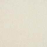 Stainfree Maximus Carpet