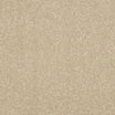Abingdon Stainfree Maximus heavy twist carpet for living rooms in Fossil