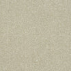 Abingdon Stainfree Maximus heavy twist carpet shown in Fossil