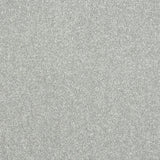 Stainfree Maximus Carpet