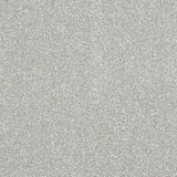 Stainfree Maximus Carpet