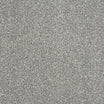 Hard-wearing abingdon Stainfree Maximus heavy twist carpet in Fossil