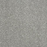 Stainfree Maximus Carpet