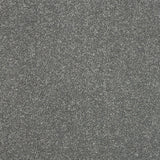 Stainfree Maximus Carpet